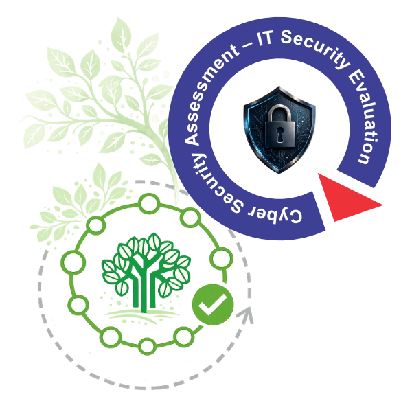 Cyber Security Assessment